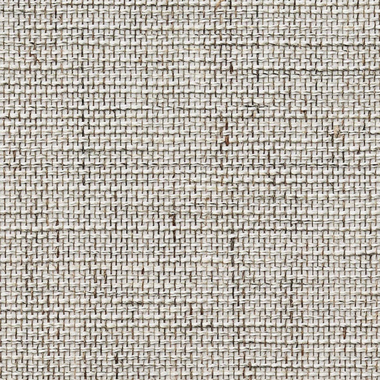 SGM-1001 壁紙 のりなし クロス / サンゲツ / エクセレクト 【サンプル】