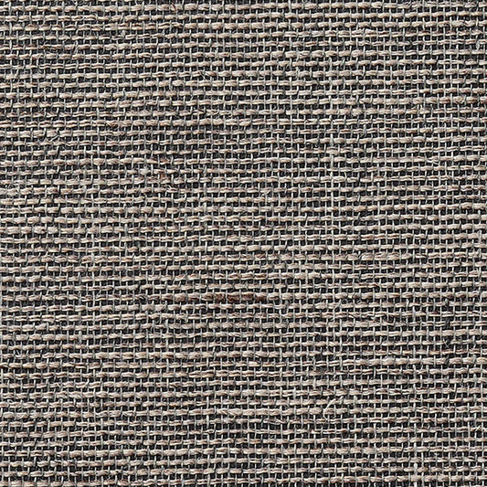 SGM-1009 壁紙 のりなし クロス / サンゲツ / エクセレクト 【サンプル】