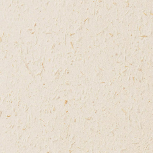 SGM-1113 壁紙 のりなし クロス / サンゲツ / エクセレクト 【サンプル】