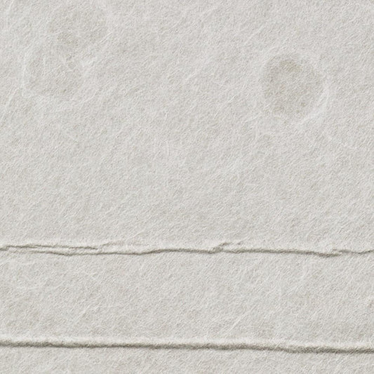 SGM-1135 壁紙 のりなし クロス / サンゲツ / エクセレクト 【サンプル】