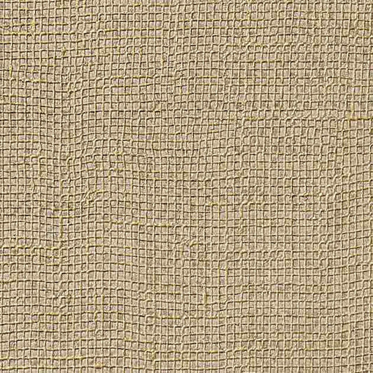 SGP-1598 壁紙 のりなし クロス / サンゲツ / エクセレクト 幅70cm 【1m単位切り売り】