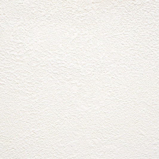 生のり付き【15m+施工道具セット】お買い得 国産壁紙 クロス / サンゲツ / 白の吹き付け調 SP-2501