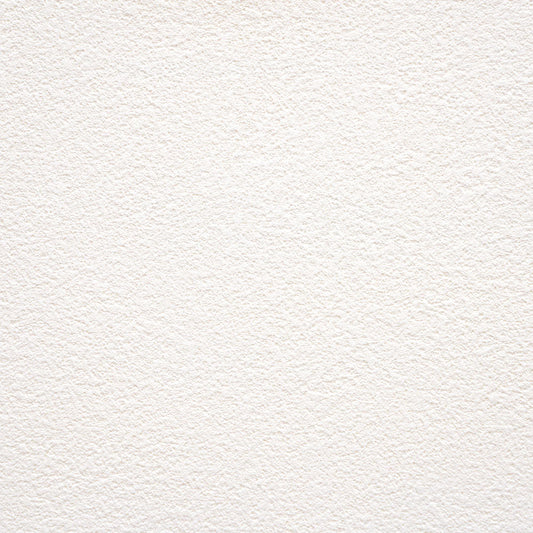 生のり付き【10m+施工道具セット】お買い得 国産壁紙 クロス / サンゲツ / 白の吹き付け調 SP-2530