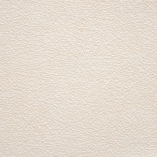 生のり付き【10m+施工道具セット】お買い得 国産壁紙 クロス / サンゲツ / グレージュ SP-2597