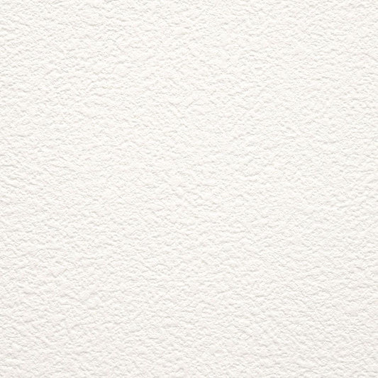 生のり付き【10m+施工道具セット】お買い得 国産壁紙 クロス / サンゲツ / 白の吹き付け調 SP-2505