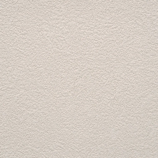 【サンプル】お買い得 国産壁紙 クロス / サンゲツ / ライトグレー SP-2540