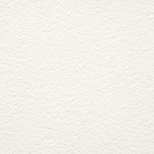 【サンプル】お買い得 国産壁紙 クロス / サンゲツ / 白の吹き付け調 SP-9742