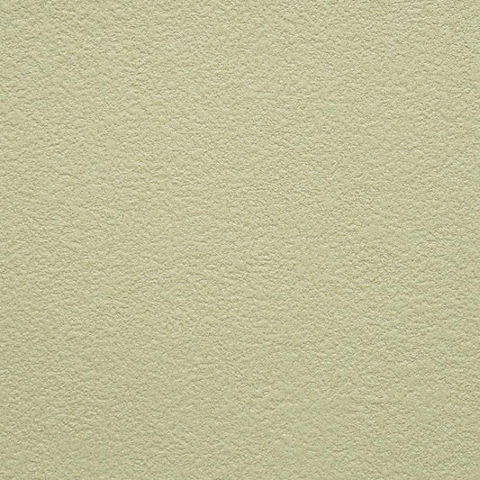 【サンプル】お買い得 国産壁紙 クロス / サンゲツ / グリーン・イエロー SP-2584