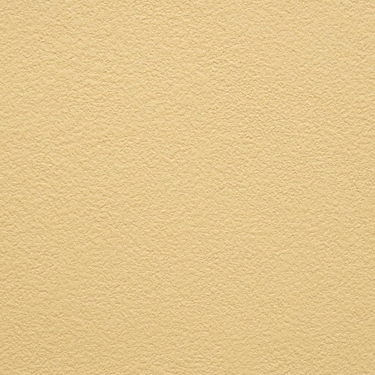 【サンプル】お買い得 国産壁紙 クロス / サンゲツ / グリーン・イエロー SP-2585