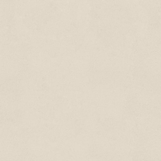 【サンプル】はがせる壁紙 のりなしタイプ SLOW TiME チルカラー chill color a.m. NST-CC02 すすき