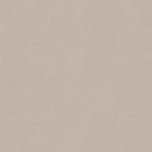 【サンプル】はがせる壁紙 のりなしタイプ SLOW TiME チルカラー chill color a.m. NST-CC04 流木