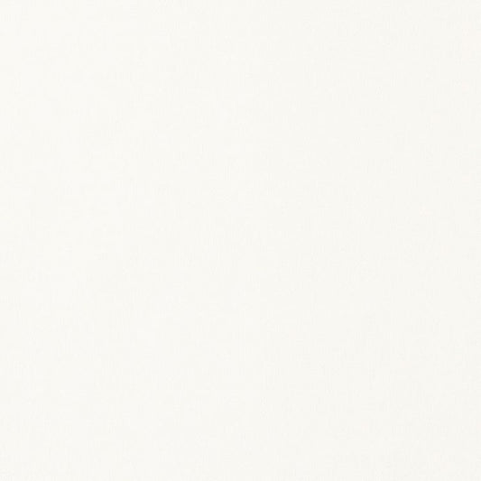 リメイクシート 強粘着タイプ リアテック サンゲツ モノトーン (巾122cm×10cm単位の切り売り) TA-4714