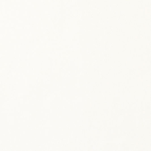 【サンプル】リメイクシート 強粘着タイプ リアテック サンゲツ モノトーン TA-4714