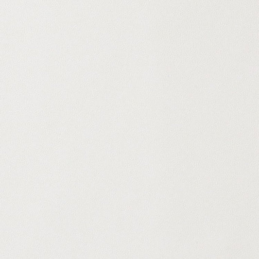 リメイクシート 強粘着タイプ リアテック サンゲツ モノトーン (巾122cm×10cm単位の切り売り) TA-4747