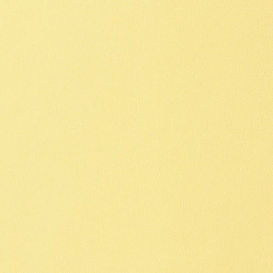 リメイクシート 強粘着タイプ リアテック サンゲツ (幅122cm×10cm単位の切り売り) イエロー・オレンジ TA-4754