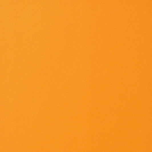 リメイクシート 強粘着タイプ リアテック サンゲツ (幅122cm×10cm単位の切り売り) イエロー・オレンジ TA-4758