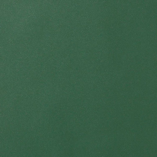 【サンプル】リメイクシート 強粘着タイプ リアテック サンゲツ グリーン TA-4768