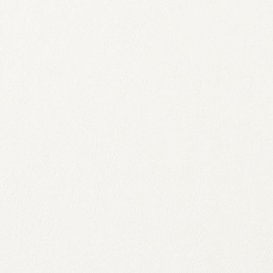 【サンプル】リメイクシート 強粘着タイプ リアテック サンゲツ レザー柄 TC-4501