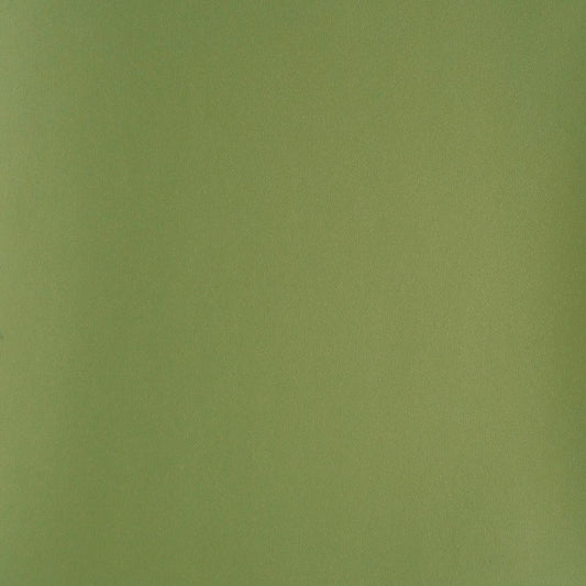 リメイクシート 強粘着タイプ リアテック サンゲツ (幅122cm×10cm単位切り売り) グリーン TA-5713