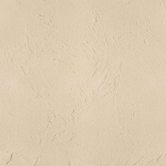 漆喰 しっくい 練済み漆喰「ベジタウォール(Vegeta WALL)」 1箱4kg入り(約2.2〜3平米・畳 約1.6枚分) ジンジャー