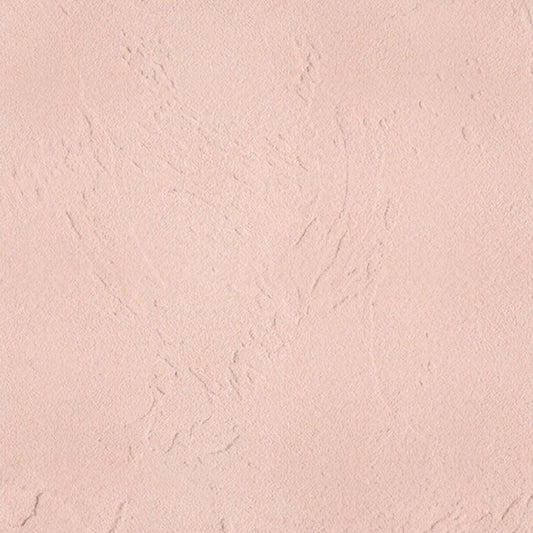 漆喰 しっくい 練済み漆喰「ベジタウォール(Vegeta WALL)」 1箱4kg入り(約2.2〜3平米・畳 約1.6枚分) ラディッシュ