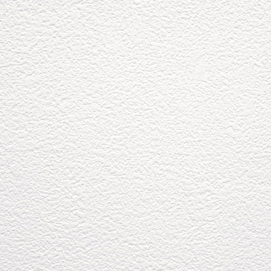 生のり付き【10m+施工道具セット】お買い得 国産壁紙 クロス / 東リ / 白の吹き付け調 VS-2001