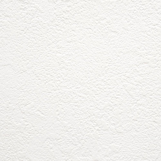 【サンプル】お買い得 国産壁紙 クロス / 東リ / 白の塗り壁調 VS-2002