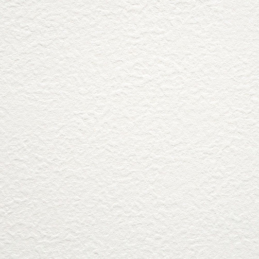 のりなし【50m巻】お買い得 国産壁紙 クロス / 東リ / 白の吹き付け調 VS-2024