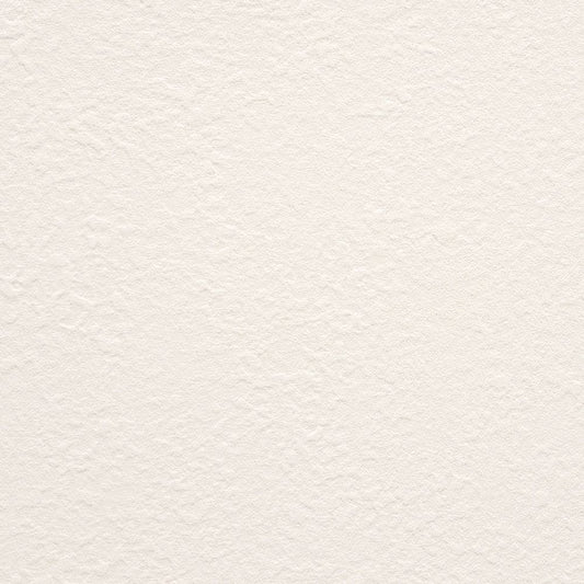 【サンプル】お買い得 国産壁紙 クロス / 東リ / 白の吹き付け調 VS-2025