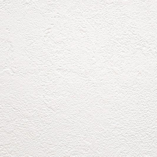 【サンプル】お買い得 国産壁紙 クロス / 東リ / 白の塗り壁調 VS-2026
