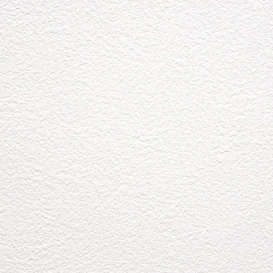 【サンプル】お買い得 国産壁紙 クロス / 東リ / 白の吹き付け調 VS-2028