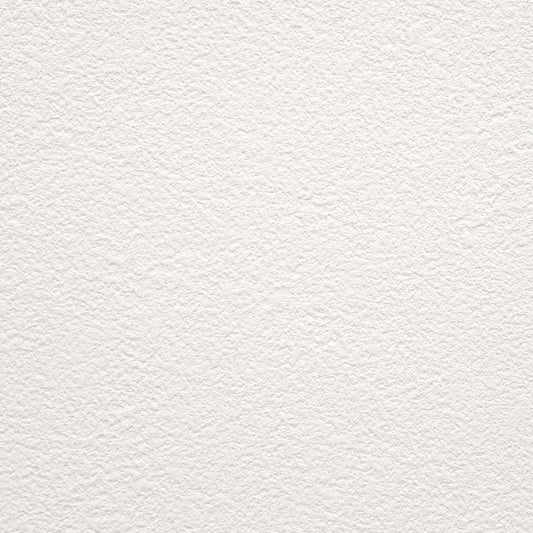 生のり付き【1m単位切り売り】お買い得 国産壁紙 クロス / 東リ / 白の吹き付け調 VS-2029