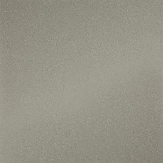 Y25-2937 壁紙 のりなし クロス / ルノン / フレッシュ グレーの無地【サンプル】