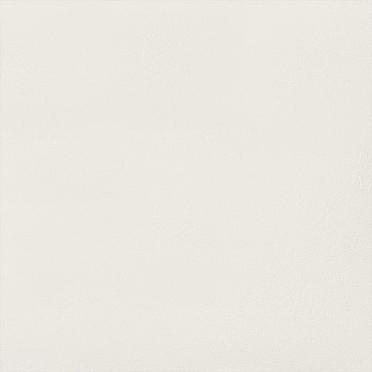 Y25-2951 壁紙 のりなし クロス / ルノン / フレッシュ ホワイトの無地【サンプル】