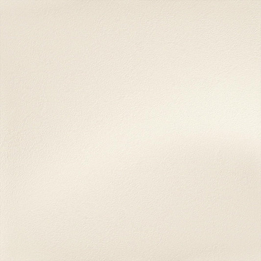 Y25-2954 壁紙 のりなし クロス / ルノン / フレッシュ グレーの無地【サンプル】