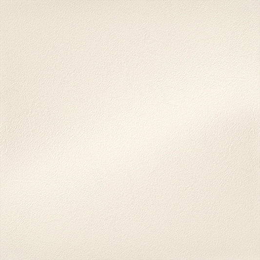 Y25-2955 壁紙 のりなし クロス / ルノン / フレッシュ グレーの無地【サンプル】