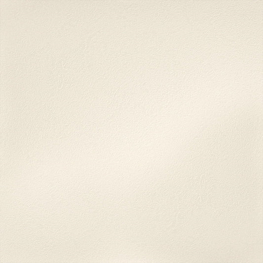 Y25-2956 壁紙 のりなし クロス / ルノン / フレッシュ グレーの無地【サンプル】