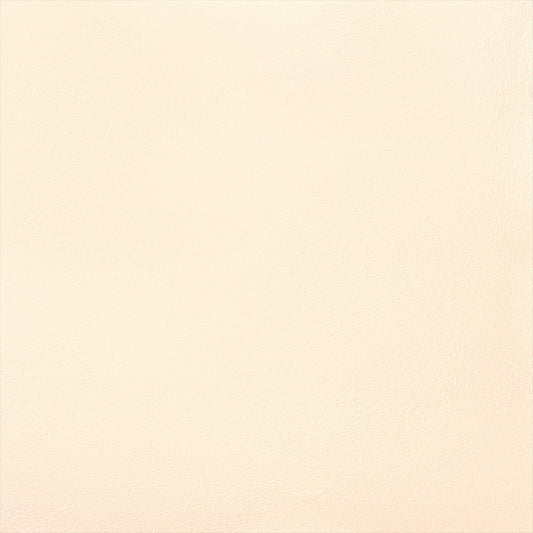 Y25-2960 壁紙 のりなし クロス / ルノン / フレッシュ ベージュの無地【サンプル】