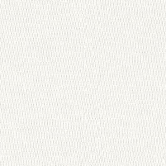 【サンプル】破れにくい壁紙 枚売り / 軽量 壁・天井用セレクション / シンプルホワイト / Simple white 633368