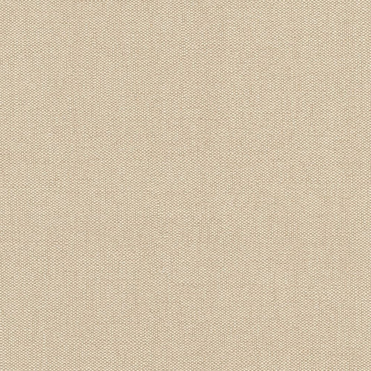 【サンプル】破れにくい壁紙 枚売り / 軽量 壁・天井用セレクション / スタンダードベージュ / Standard beige 633689