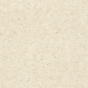 【サンプル】破れにくい壁紙 枚売り / 北欧・和モダン 塗り壁調セレクション / ナギ -凪- 520835