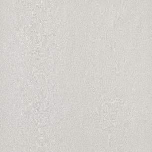 【サンプル】国産壁紙 クロス /  ライトグレーセレクション TH-32348