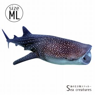 【鍵井 靖章 Yasuaki Kagii】海の生き物ステッカー Sea creatures ML ジンベイザメ(右向き)
