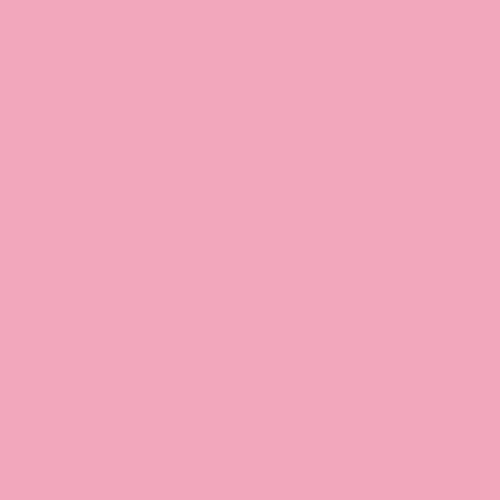 イマジンウォールペイント 4L スタンダードカラーズ 【012】 Pink panther ピンクパンサー