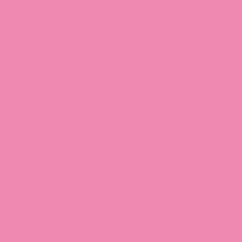 イマジンウォールペイント 500ml スタンダードカラーズ 【067】 Gentle pink 優しいピンク