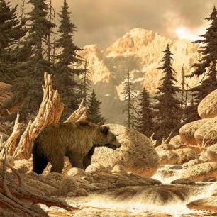 輸入壁紙 カスタム壁紙 PHOTOWALL / Grizzly Bear in the Tetons (e1488)