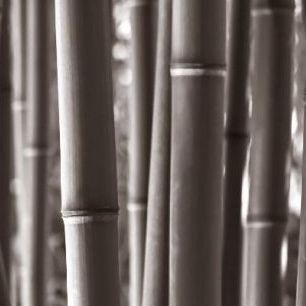 輸入壁紙 カスタム壁紙 PHOTOWALL / Zen Bamboo - Sepia (e1803)
