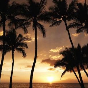 輸入壁紙 カスタム壁紙 PHOTOWALL / Hawaii Sunset (e6203)