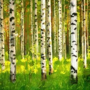輸入壁紙 カスタム壁紙 PHOTOWALL / Birch Forest - Oil Painting (e19310)