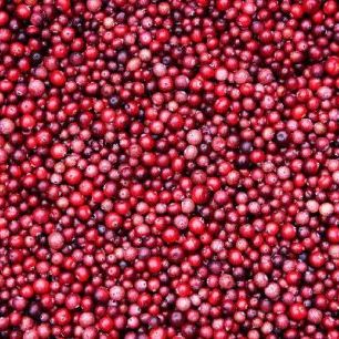 輸入壁紙 カスタム壁紙 PHOTOWALL / Lingonberries (e19434)